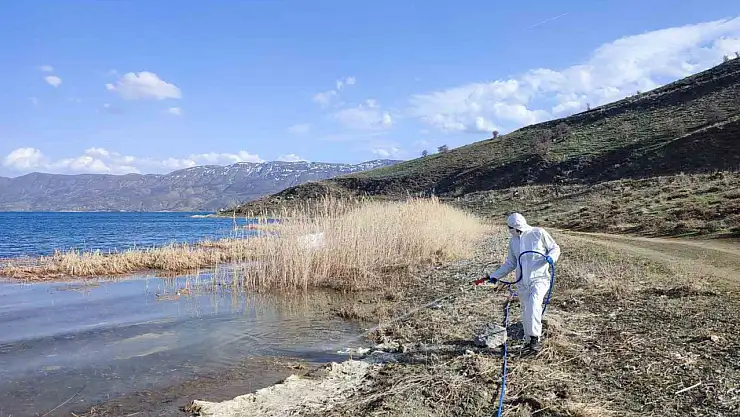 Elazığ'da sivrisinek ve karasineklerle mücadele sürüyor