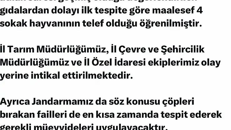 Elazığ'da sokak hayvanlarına zarar verilmesi üzerine Vali Hatipoğlu'ndan açıklama