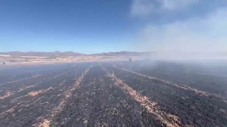 Elazığ'da yangın, 60 dönümlük ekili alanı küle çevirdi