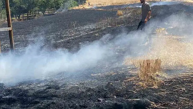 Elazığ'da yangın: Ekili alan küle döndü