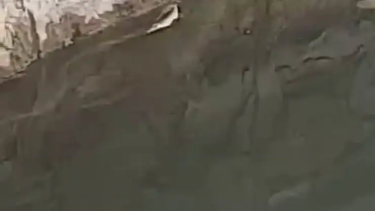 Elazığ'da yılanın balık avı kamerada