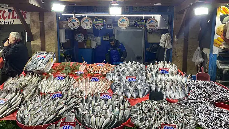 Elazığ'daki balık çeşitliliği Karadeniz'i aratmıyor