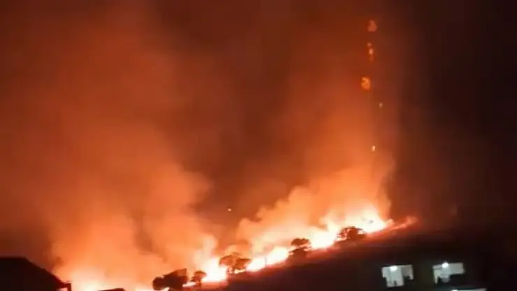 Elazığ'daki örtü yangını söndürüldü