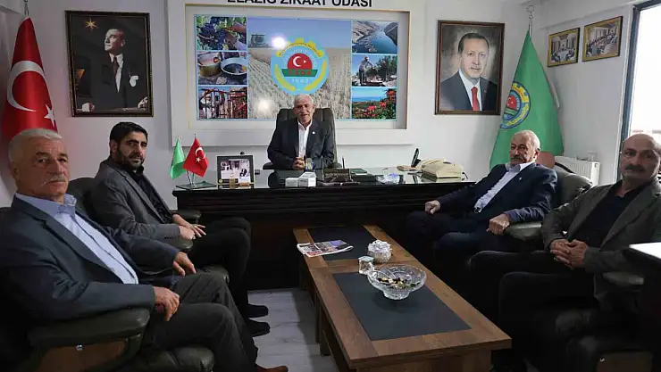 Elazığ Ziraat Odası Başkanı Hacıoğulları: ''Elazığ, zirai don ile bir deprem daha geçirdi''