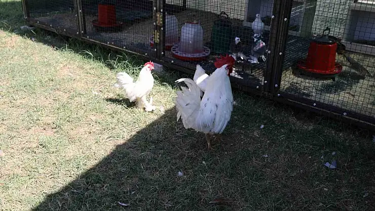 Engelsiz Yaşam Merkezi'nden yeni rehabilitasyon uygulaması