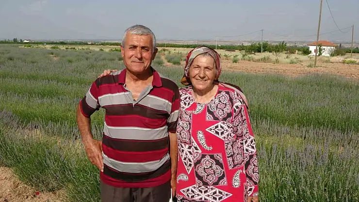 İnternetten gördüler, lavanta üreticisi oldular