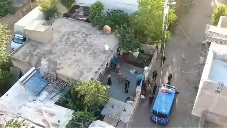 Jandarmanın 'Daltonlar' çetesi operasyonunda 3 tutuklama