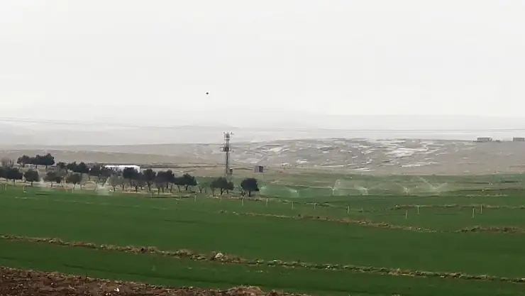 Kaçak elektrikle sulama yağmur yağarken de devam etti