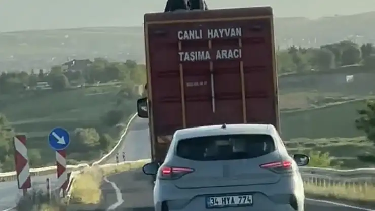 Kamyonun üzerinde tehlikeli yolculuk kamerada