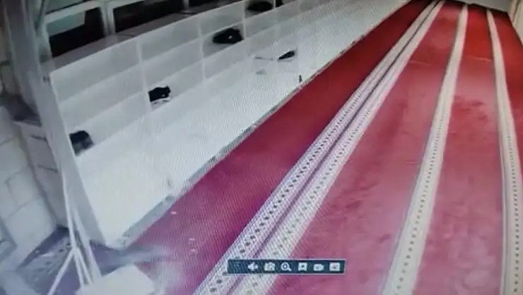 Kedinin caminin asma tavanını yıkarak aşağı düştüğü anlar kamerada