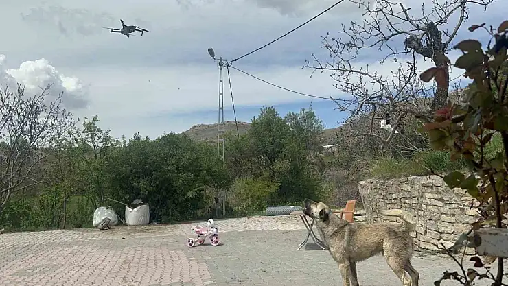 Köpeğin dron ile imtihanı gülümsetti