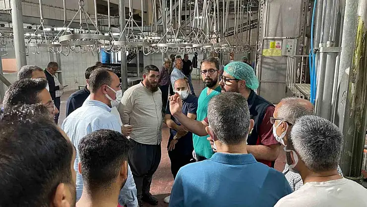 Malatya Büyükşehir Belediyesi'nden vatandaşlara 'sertifikalı kurban kesim elemanı' eğitimi