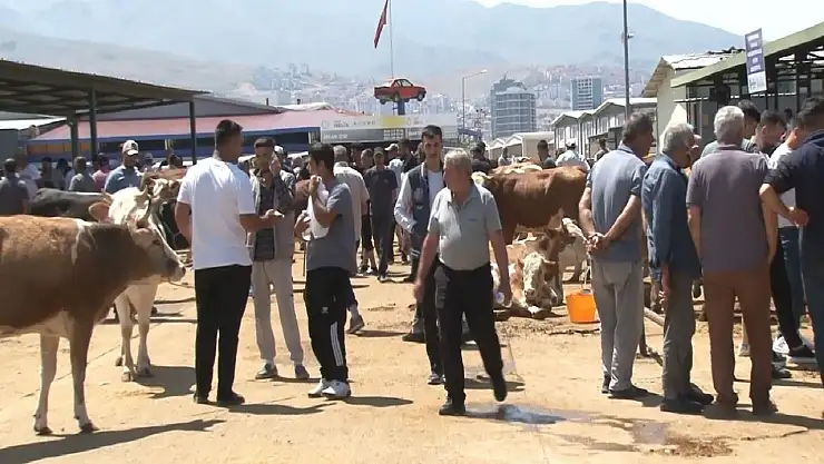 Malatya Canlı Hayvan Pazarı'nda bayram yoğunluğu