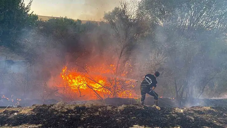 Malatya'da anız yangınında 50 dönümlük arazi zarar gördü