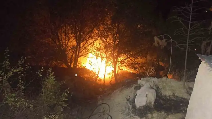 Malatya'da, bahçe yangını korkuttu