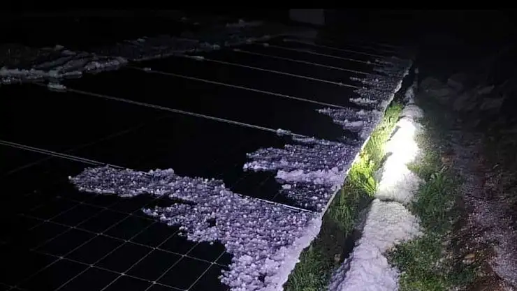 Malatya'da dolu yağışı kayısı bahçelerine zarar verdi