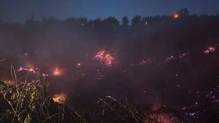 Malatya'da iki ayrı yangın