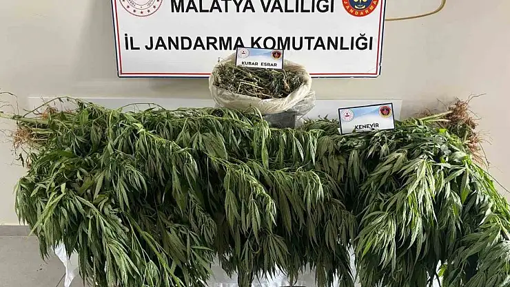 Malatya'da jandarmadan uyuşturucu operasyonu