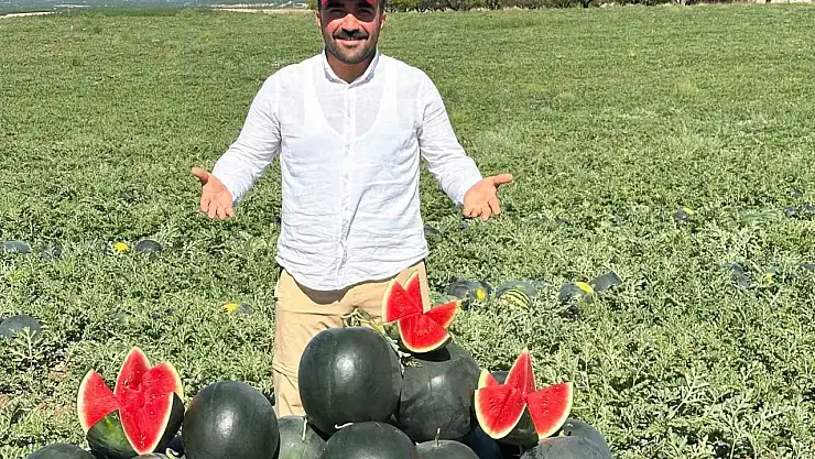 Malatya'da karpuz ve kavun hasadı yüz güldürüyor