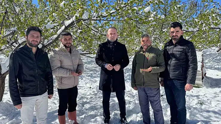 Malatya'da kayısı da don felaketi