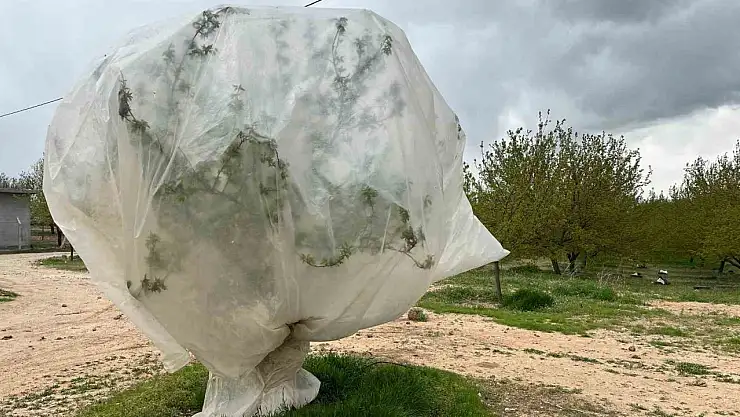 Malatya'da kayısı üreticilerinden 'zirai don' önlemi