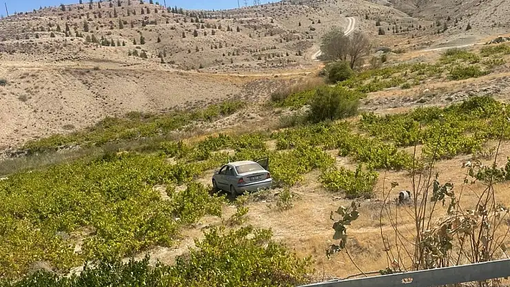 Malatya'da kontrolden çıkan araç üzüm bağına uçtu: 2 yaralı