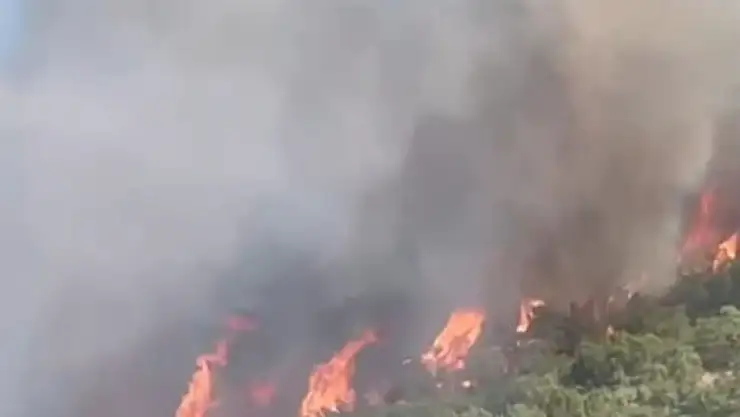 Malatya'da orman yangını