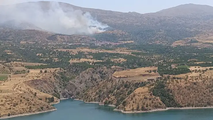 Malatya'da orman yangınına havadan müdahale