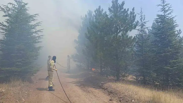 Malatya'da ormanlık alanda yangın