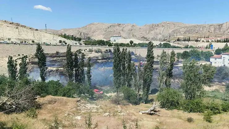 Malatya'da ot yangını