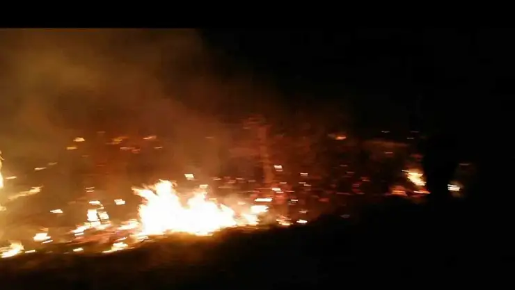 Malatya'da sazlık yangını