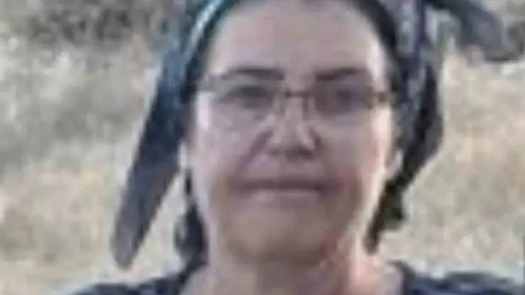 Malatya'da üç çocuk annesi havuzda ölü bulundu