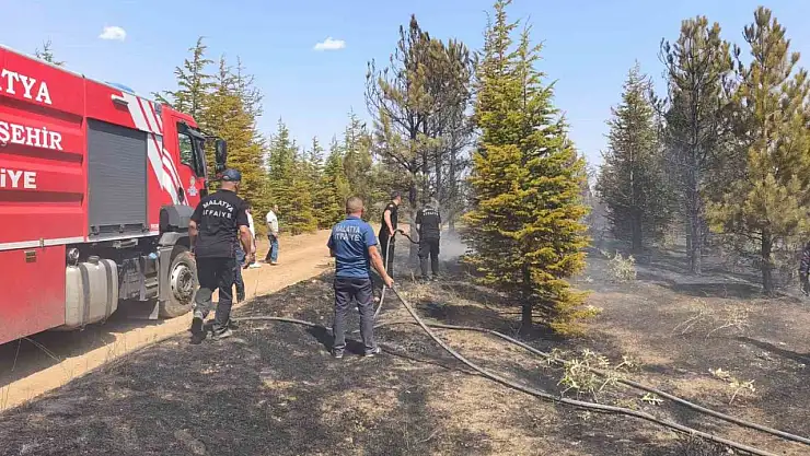 Malatya'daki orman yangını söndürüldü