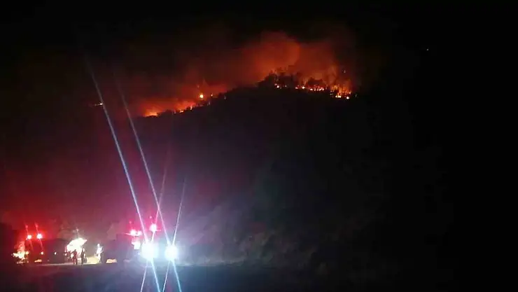 Malatya'daki orman yangını sürüyor