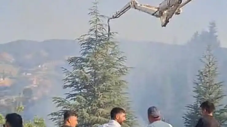 Malatya'daki orman yangınına beton pompasıyla destek