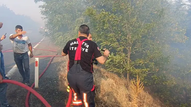 Malatya'daki orman yangınları kontrol altına alındı