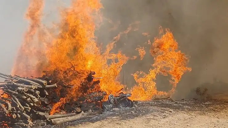 Malatya'nın Doğanyol ilçesinde orman yangını
