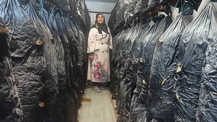 Malatyalı kadınlar konteynerde üretim yapıyor