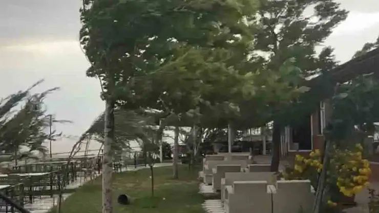 Palu'da fırtına etkili oldu