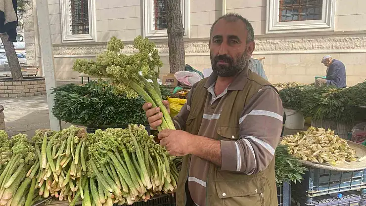 Şifa deposu ışkın, tezgahtaki yerini aldı