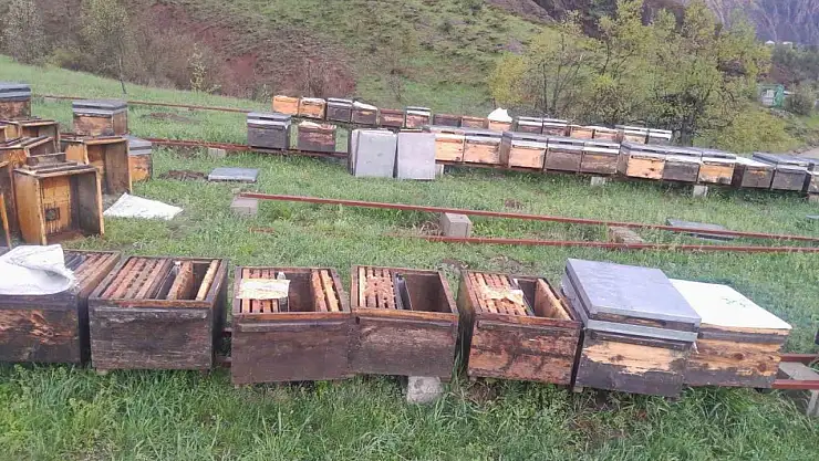 Tunceli Arı Yetiştiricileri Birliği Başkanı Doğan, 'Fırtınadan zarar gören arıcılar TARSİM'e başvurmalı'