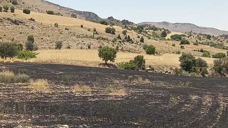 Tunceli'de 34 dönüm arpa yangında kül oldu