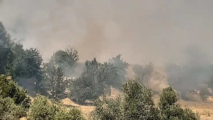 Tunceli'de çıkan yangın büyük ölçüde söndürüldü