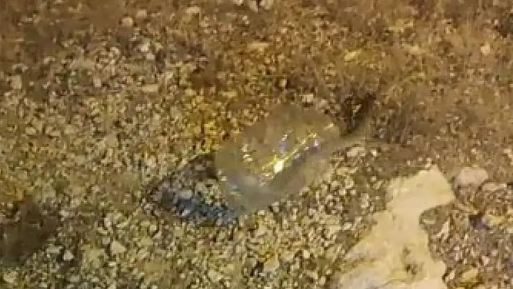 Tunceli'de kız yurdunda yakalanan engerek doğaya bırakıldı