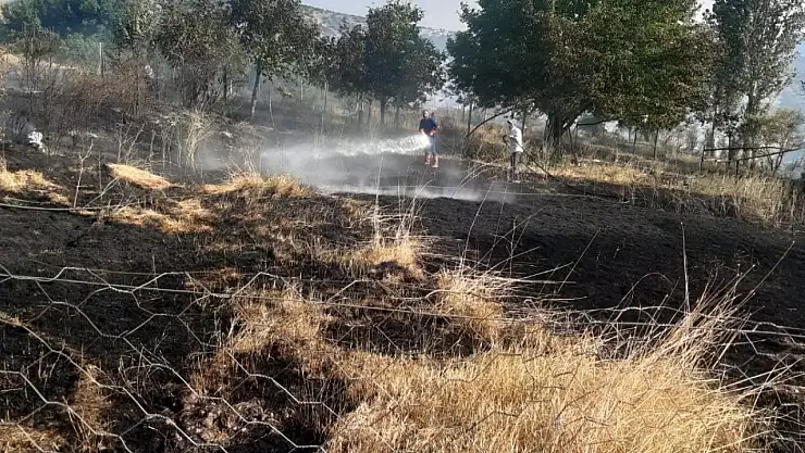 Tunceli'de otluk alanda çıkan yangın ekiplerin müdahalesiyle söndürüldü