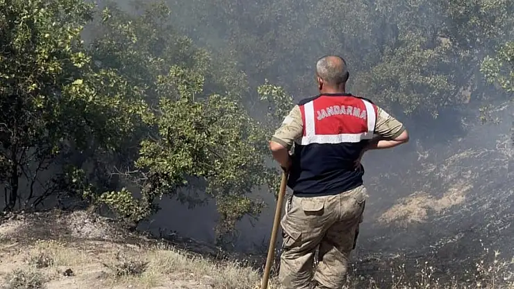 Tunceli'de otluk ve ormanlık alanda yangın
