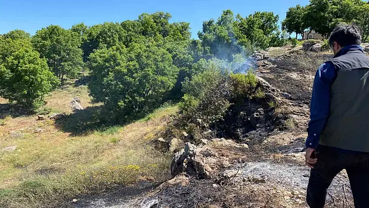 Tunceli'de yangın köye sıçramadan engellendi