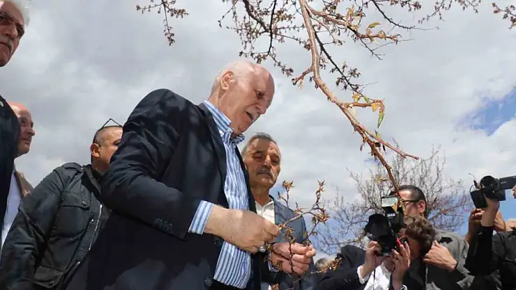 TZOB Genel Başkanı Bayraktar: 'Kayısıda yüzde yüzlere varan zarar tespit ettik'