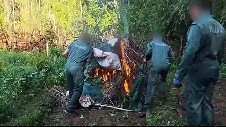 UNESCO Dünya Kültür Mirası Listesi'nde yer alan Hevsel Bahçeleri'nde 2 milyar TL değerinde uyuşturucu madde ele geçirildi