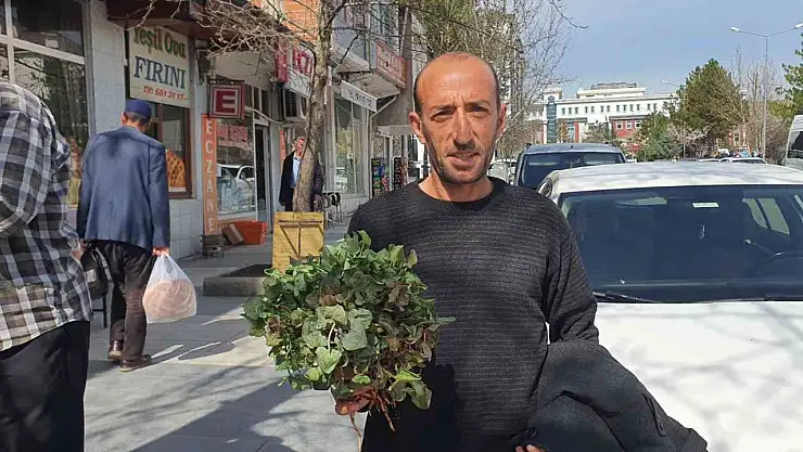 Yılın ilk kuzu kulağı tezgahlardaki yerini aldı